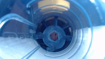 Jeffrodgerschaturbat  20-11-2021
